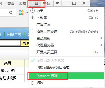 internet选项