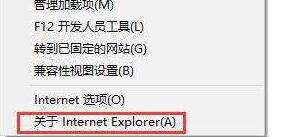 internet explorer