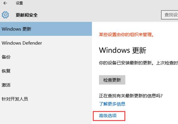 windows更新高级选项