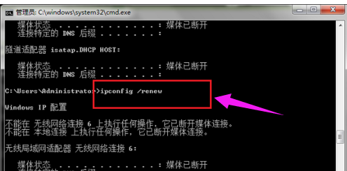 ipconfig,命令,命令提示符